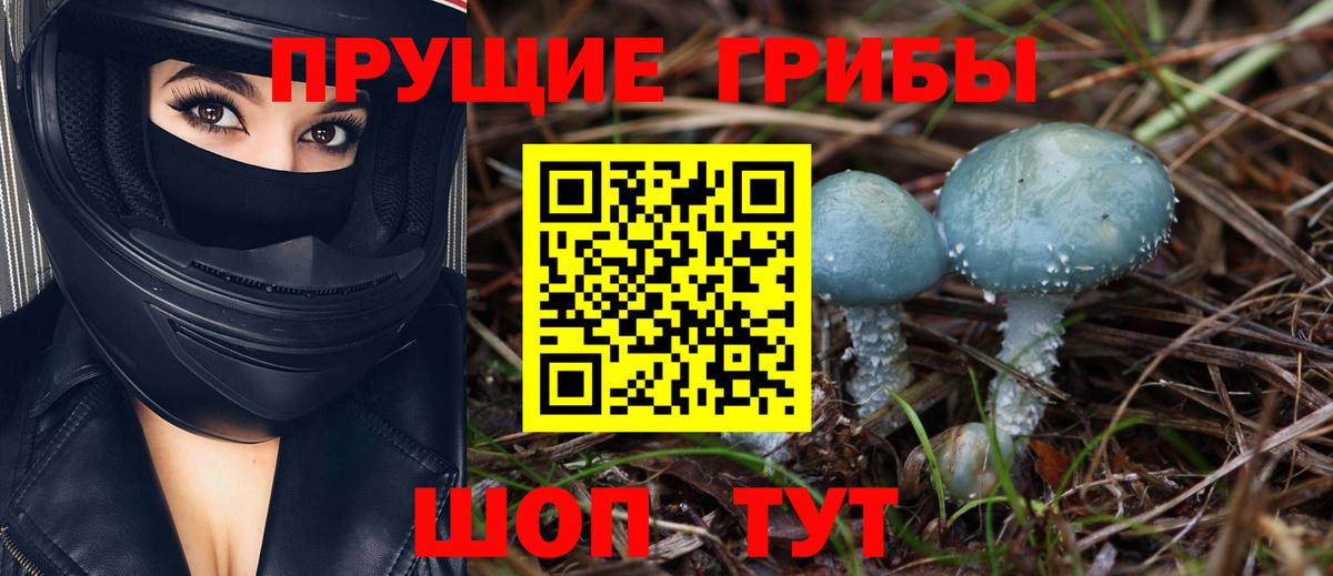 Тихвин  Псилоцибиновые грибы мухоморы  Вход с VPN 